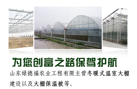 公司简介