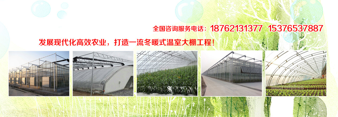 广告1